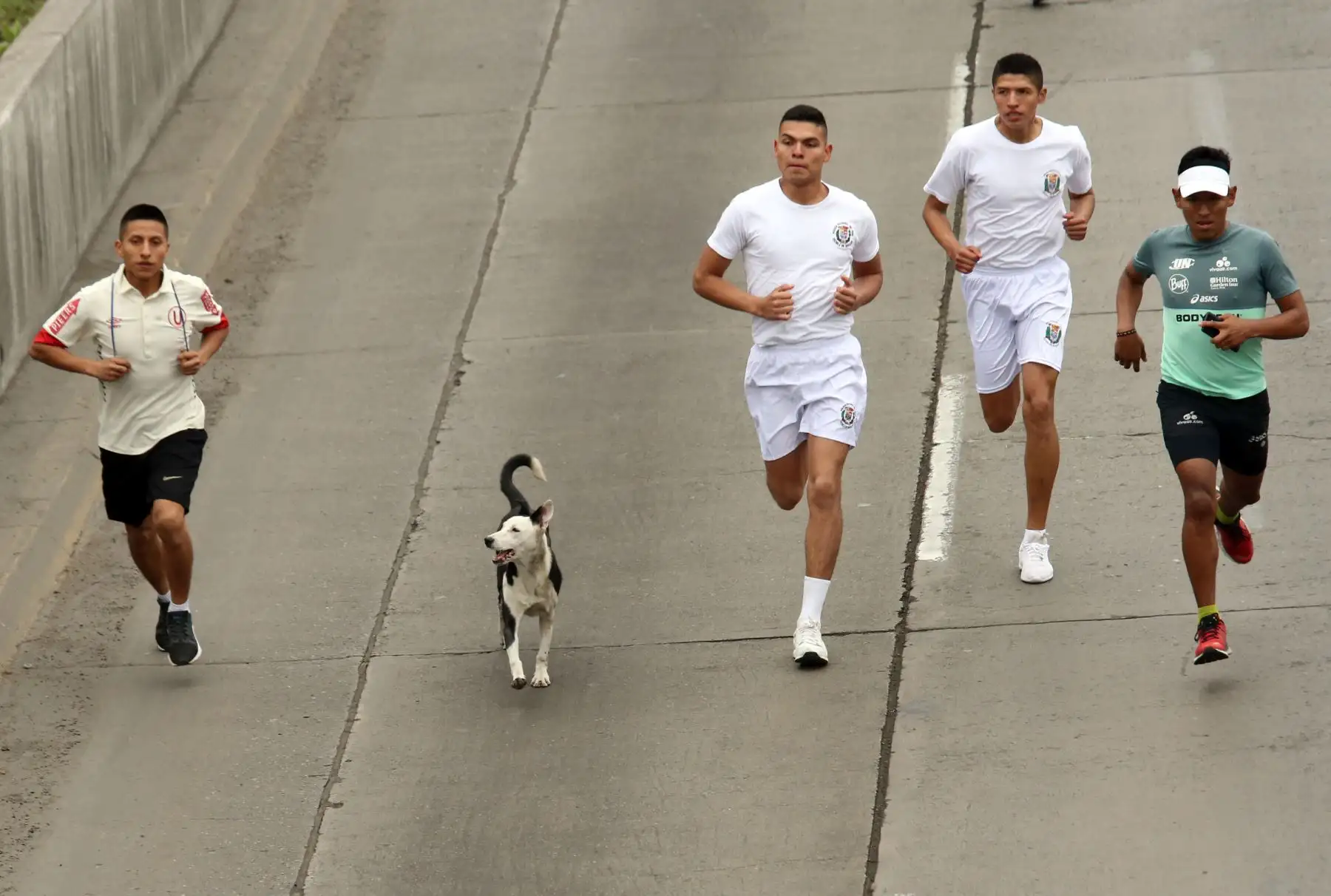 Integrantes de las Fuerzas Armadas junto al presidente Martín Vizcarra participan en la la XVII edición de la Carrera Cívico Militar 7.5K, en el marco de las actividades por el Día de las Fuerzas Armadas.
Foto: ANDINA/Norman Córdova