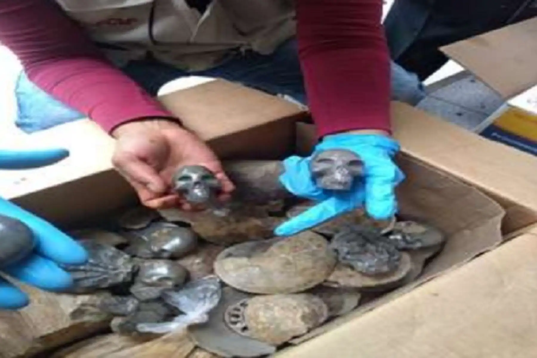 La Policía incautó 646 objetos paleontológicos fosilizados entre Ammonites, Bivalvos, Trilobites, Troncos fosilizados y otros, de incalculable valor para el Estado, los mismos que eran exhibidos y comercializados en cuatro stands de la feria artesanal del distrito de Aguas Calientes, en la provincia de Urubamba, región Cusco.