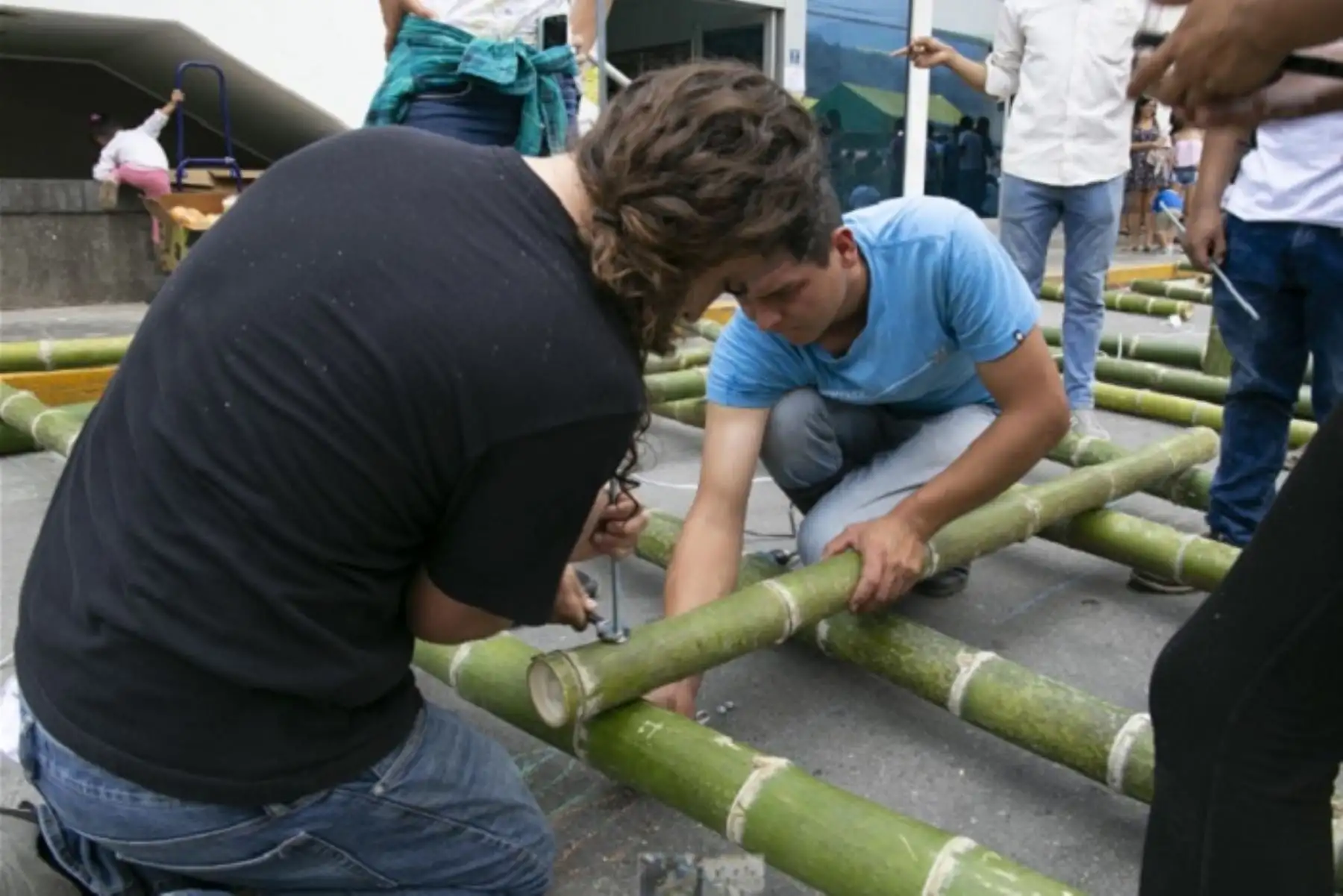 La elaboración del Plan Nacional del Bambú para potenciar el desarrollo del cultivo de este recurso no maderable que tiene un enorme potencial económico, propuso el director ejecutivo del Servicio Nacional Forestal y de Fauna Silvestre (Serfor), Alberto Gonzales – Zúñiga, al presidente de la recién conformada Mesa Técnica Nacional del Bambú y alcalde provincial de Chanchamayo, región Junín, José Mariño.