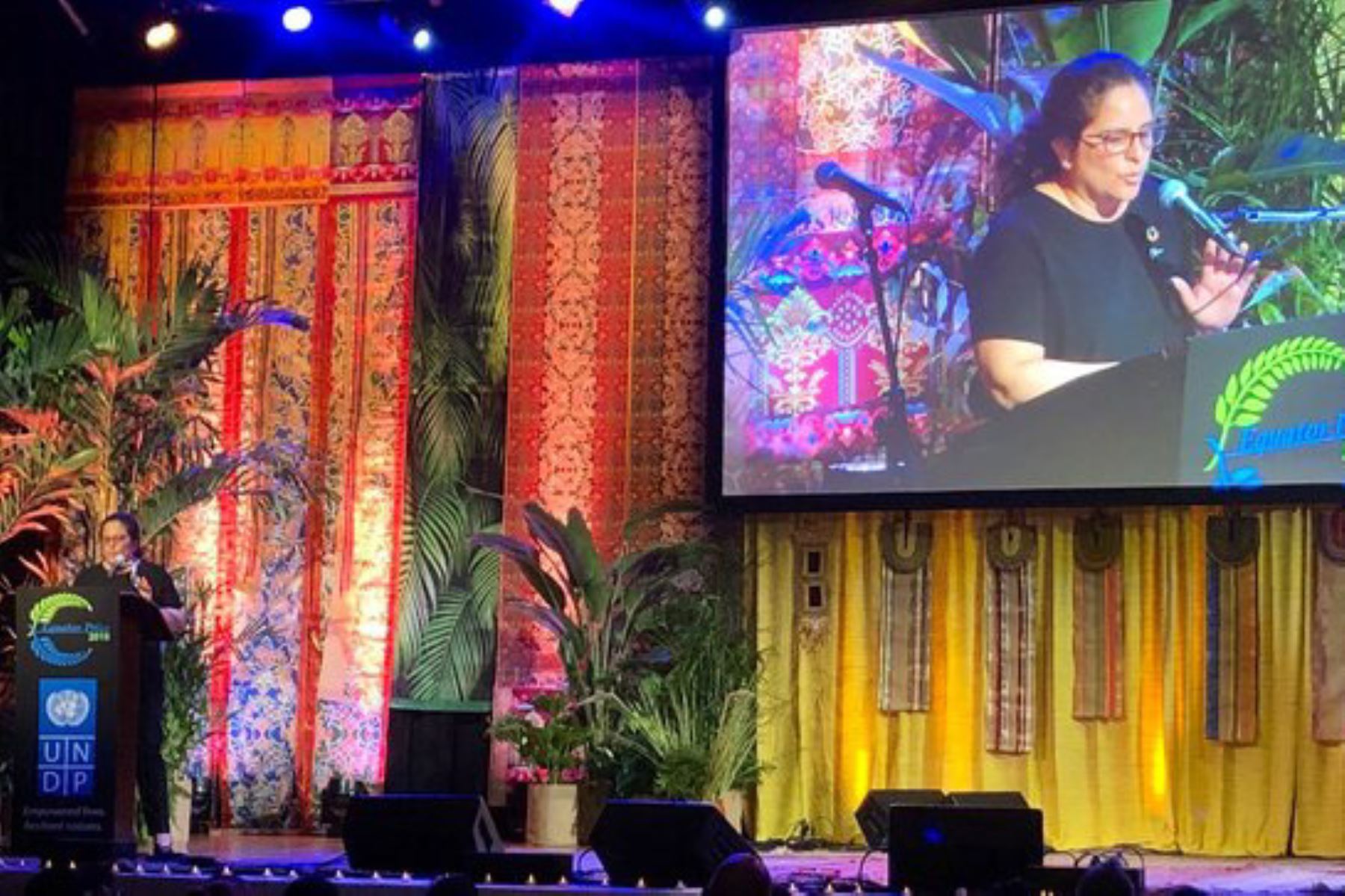 Lecciones de comunidades amazónicas deben replicarse para proteger bosques y biodiversidad, destacó la ministra del Ambiente, Lucía Ruíz, durante la ceremonia de distinción a los ganadores del Premio Ecuatorial 2019, realizado en Nueva York, como parte de la Cumbre de Acción Climática.