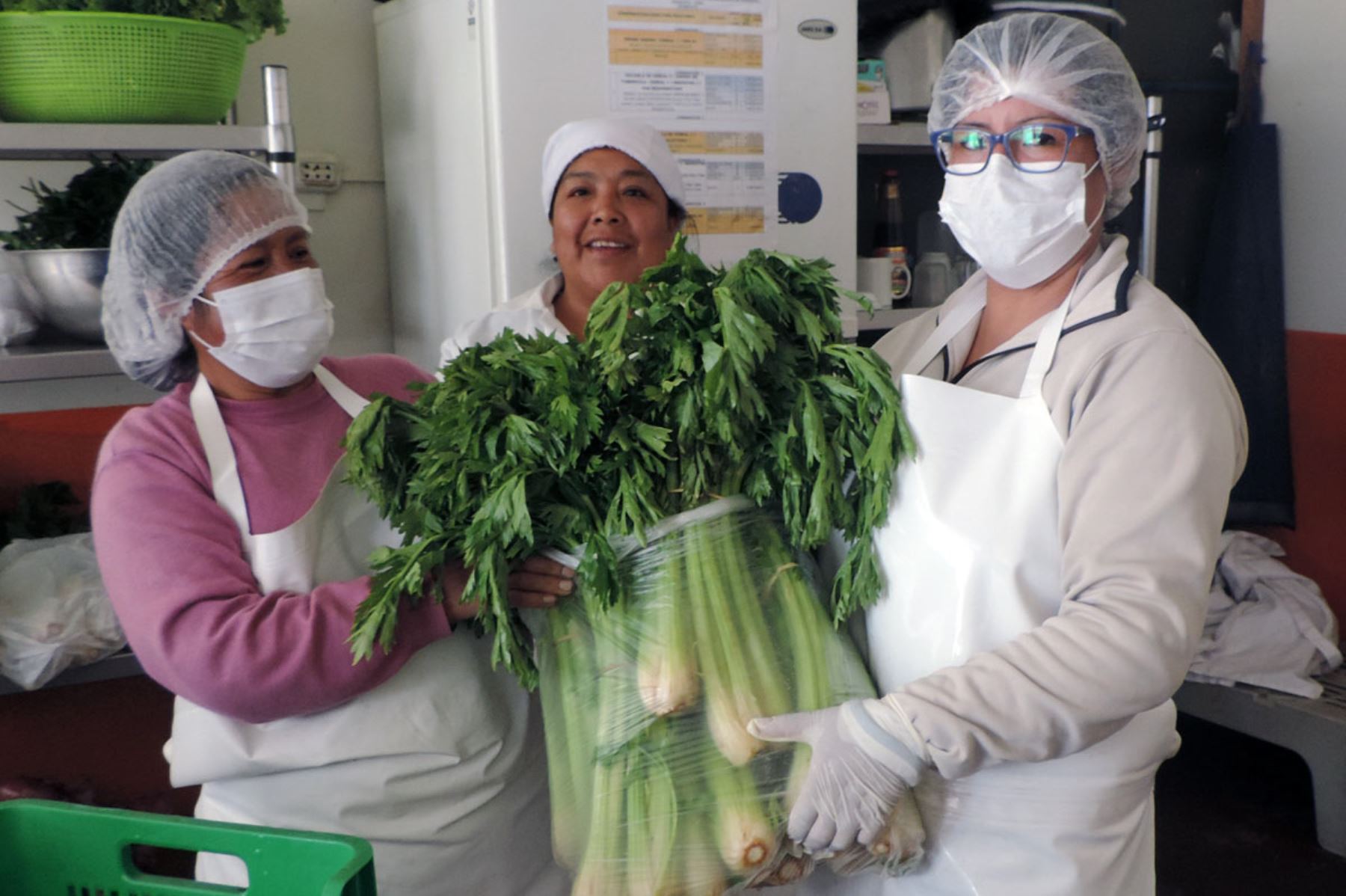 Nuevos proveedores de Qali Warma en Junín se dedican a la agricultura familiar
