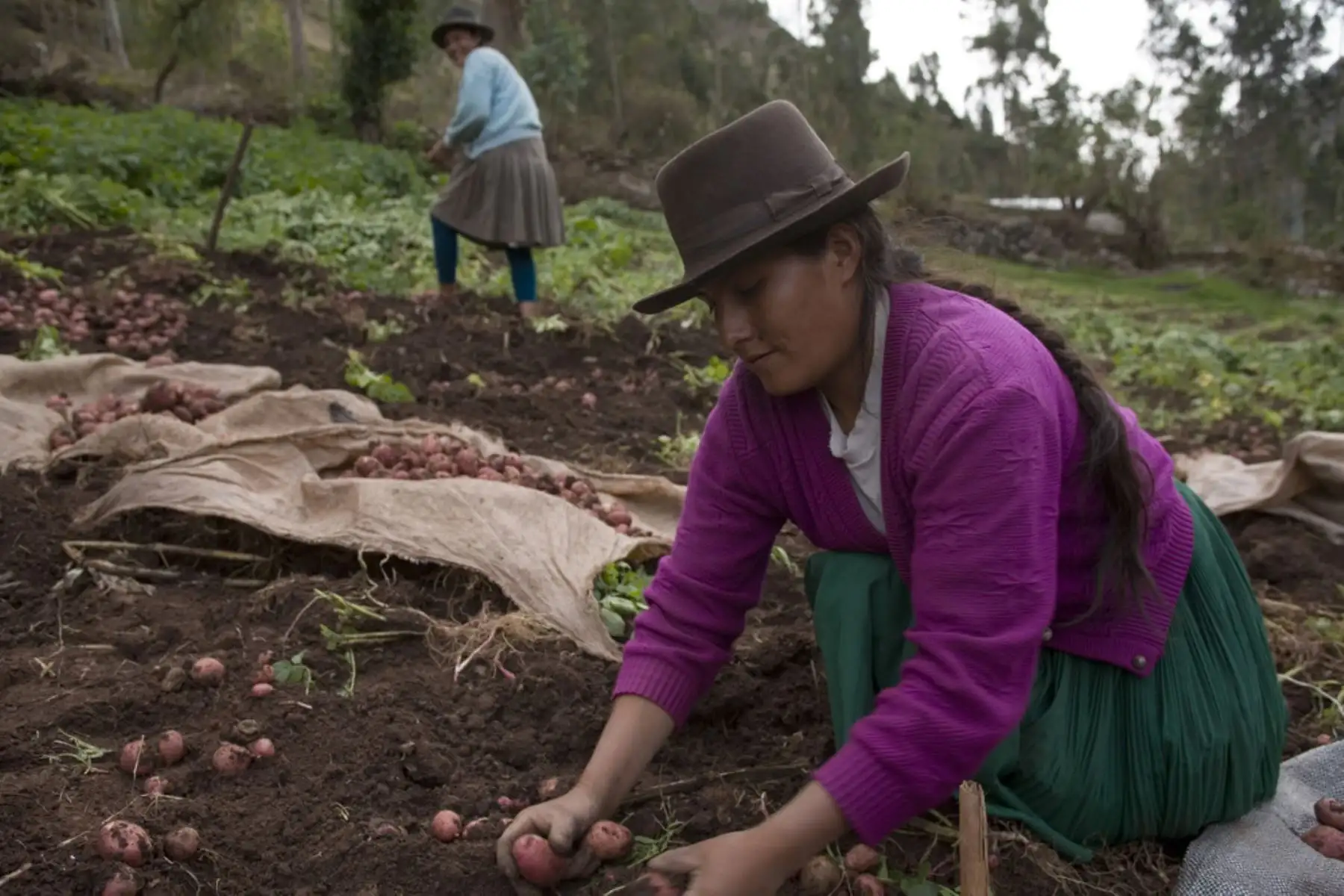 Foto: Productora agraria en zona rural.