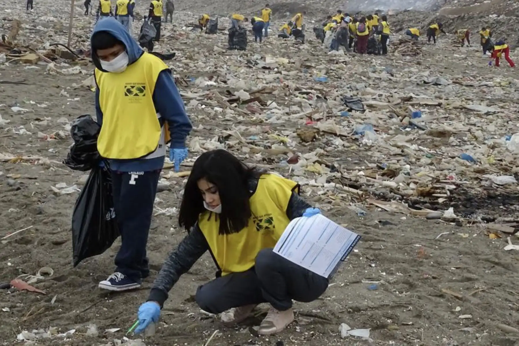 Más de 1500 voluntarios del programa “Manos que Ayudan” de la Iglesia Jesucristo de los Santos de los Últimos Días  participan en la tercera fecha de la jornada de limpieza de playas.
Foto: ANDINA/Difusión