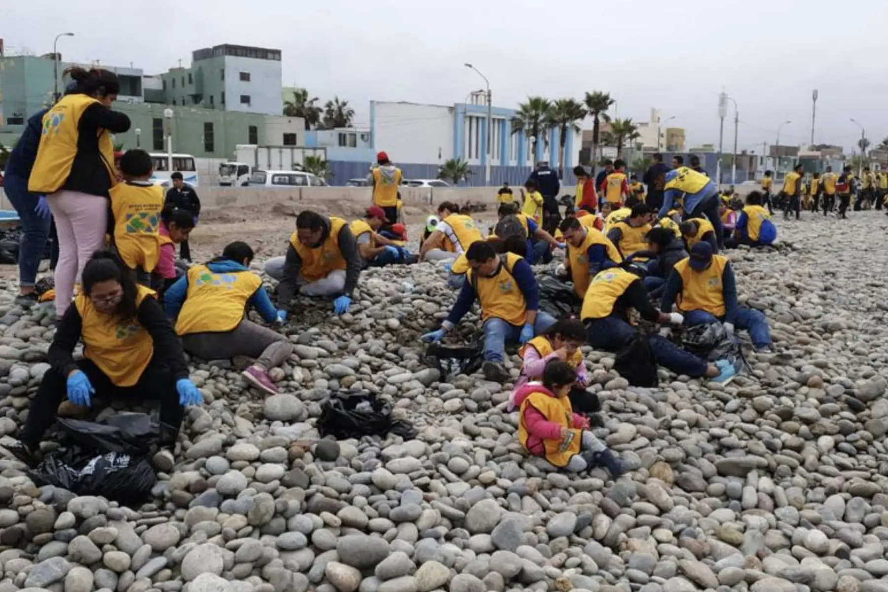 Más de 1500 voluntarios del programa “Manos que Ayudan” de la Iglesia Jesucristo de los Santos de los Últimos Días  participan en la tercera fecha de la jornada de limpieza de playas.
Foto: ANDINA/Difusión