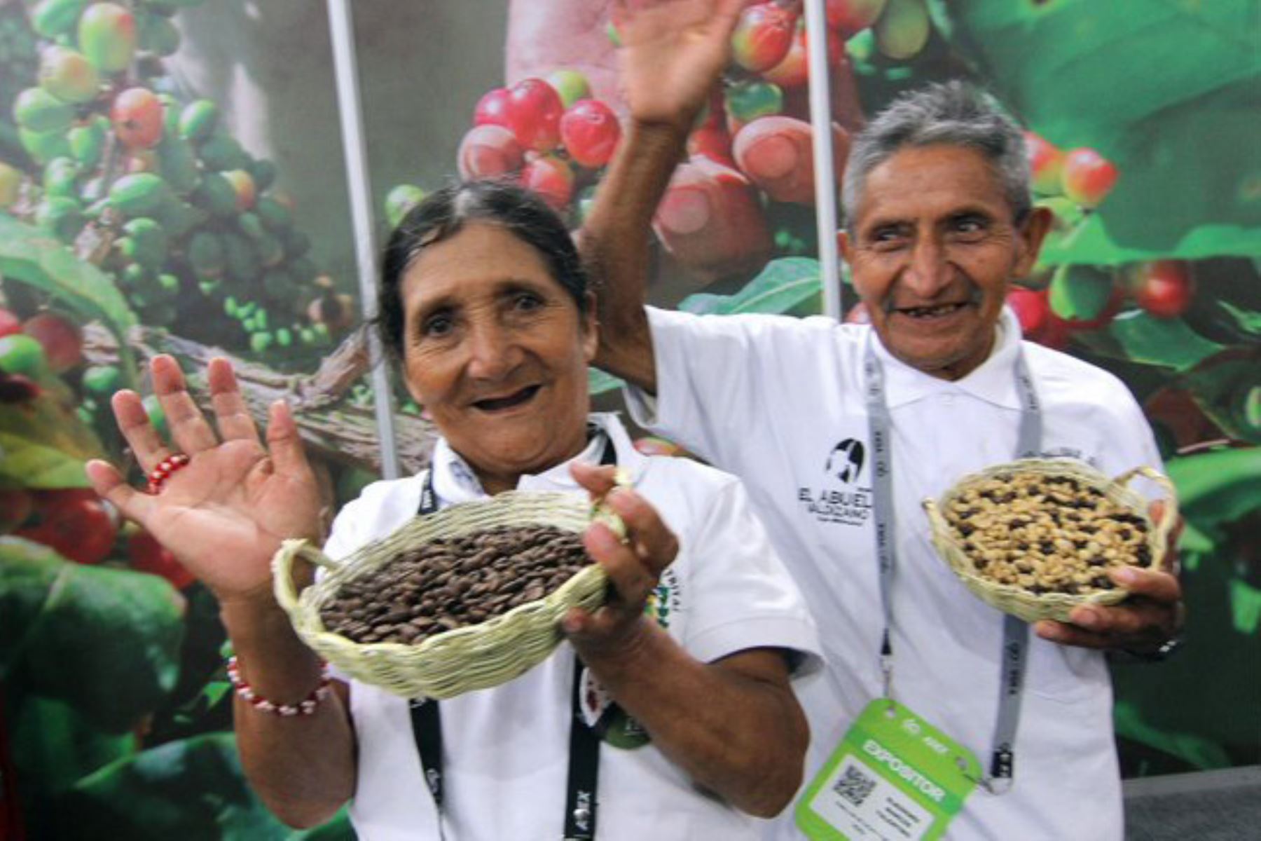 Huánuco: conoce exitoso emprendimiento cafetalero de adultos mayores que cambió sus vidas