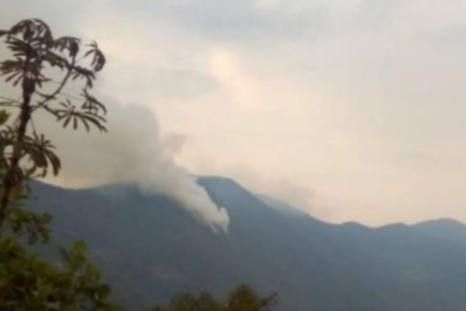 Incendios forestales registrados en Puno, Apurímac, Cusco y Amazonas fueron controlados por autoridades locales con apoyo de diversas instituciones y la población.