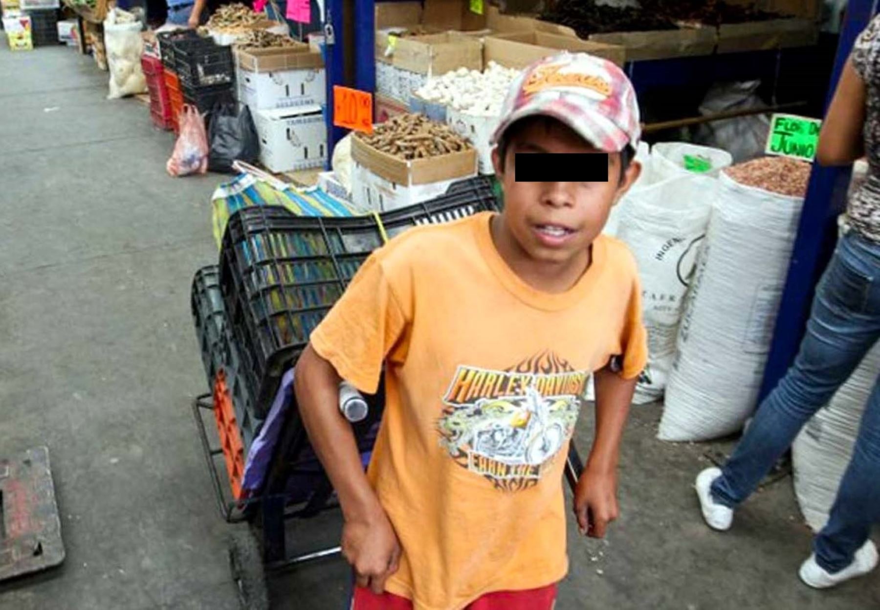Gobierno regional de Lima realiza labor de fiscalización para erradicar la explotación laboral infantil. ANDINA/Difusión.