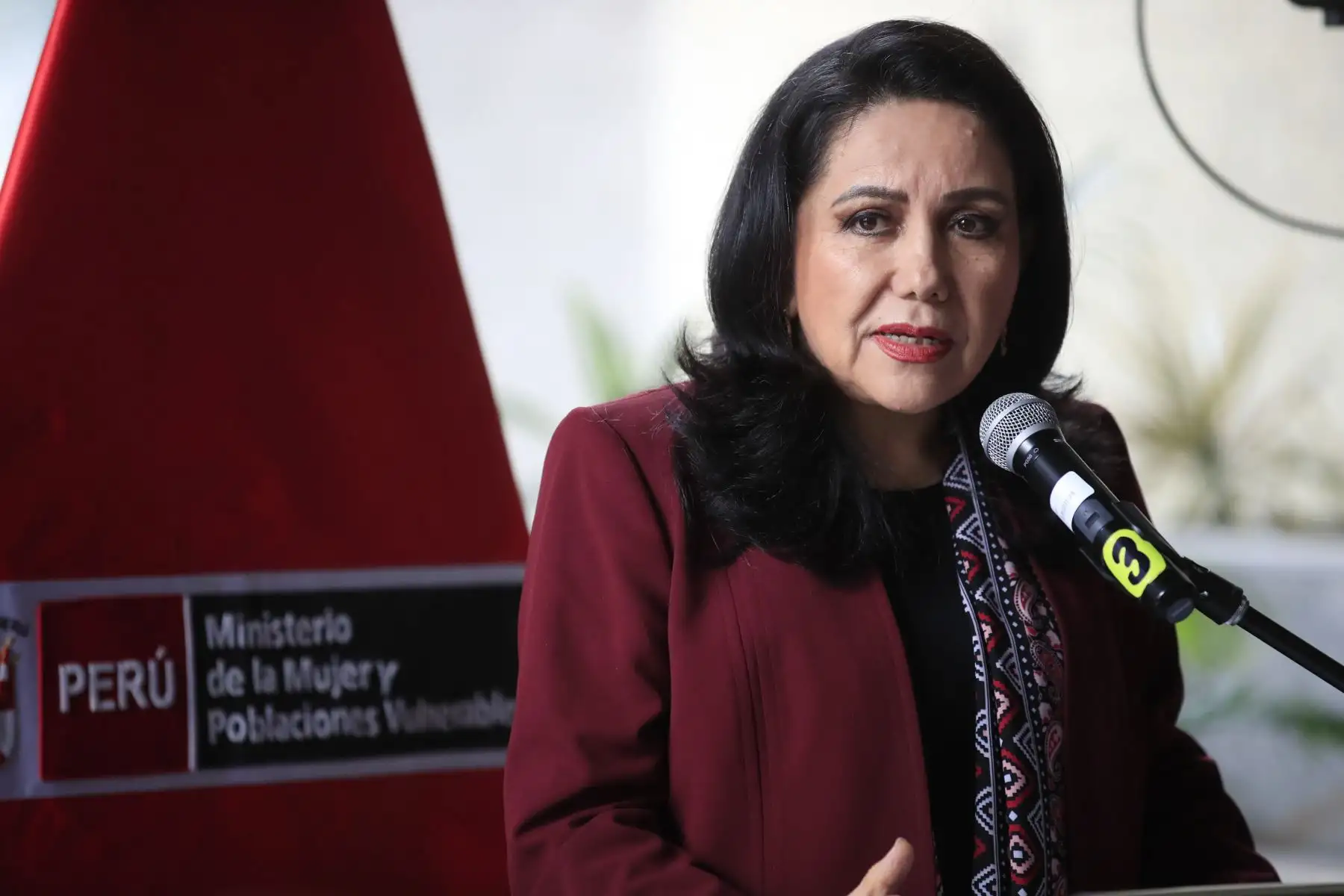 Ministra de la Mujer y Poblaciones Vulnerables, Gloria Montenegro, inauguró el nuevo local del Centro Emergencia Mujer (CEM) Lima Sede Central

Foto: Andina/Juan Carlos Guzmán Negrini