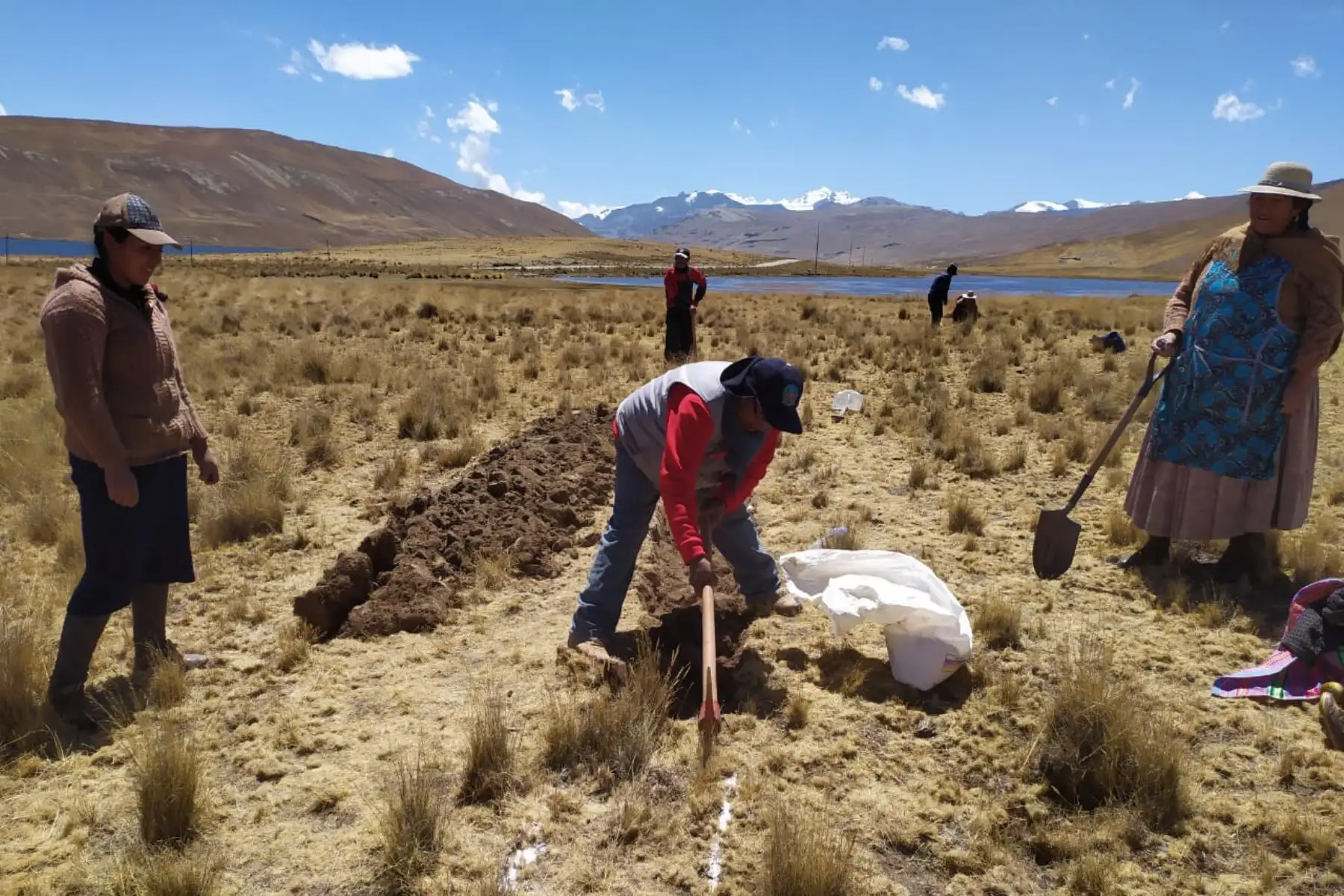 Puno: impulsan recuperación de praderas y mejor captación de agua en San Antonio y Lampa