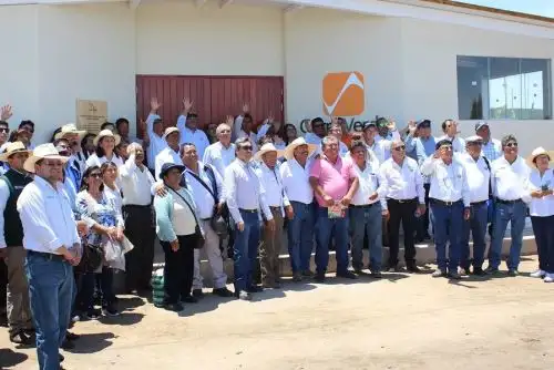 Implementan certificación global para exportación de palta hass y granada en Arequipa