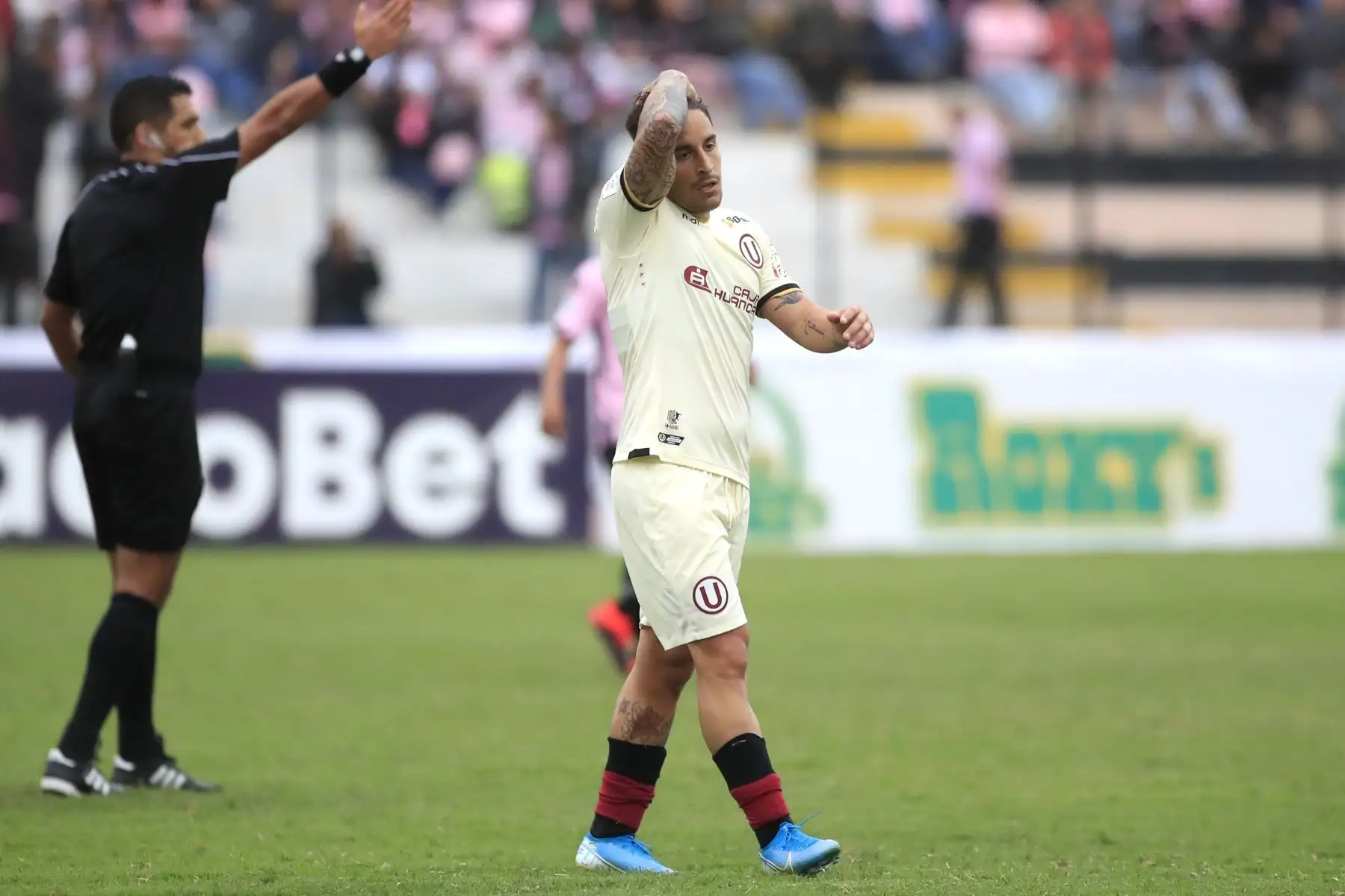 Alejandro Hohberg de Universitario se toma la cabeza durante el partido ante el Sport Boys en el estadio Miguel Grau del Callao.


Foto: Andina/Juan Carlos Guzmán Negrini