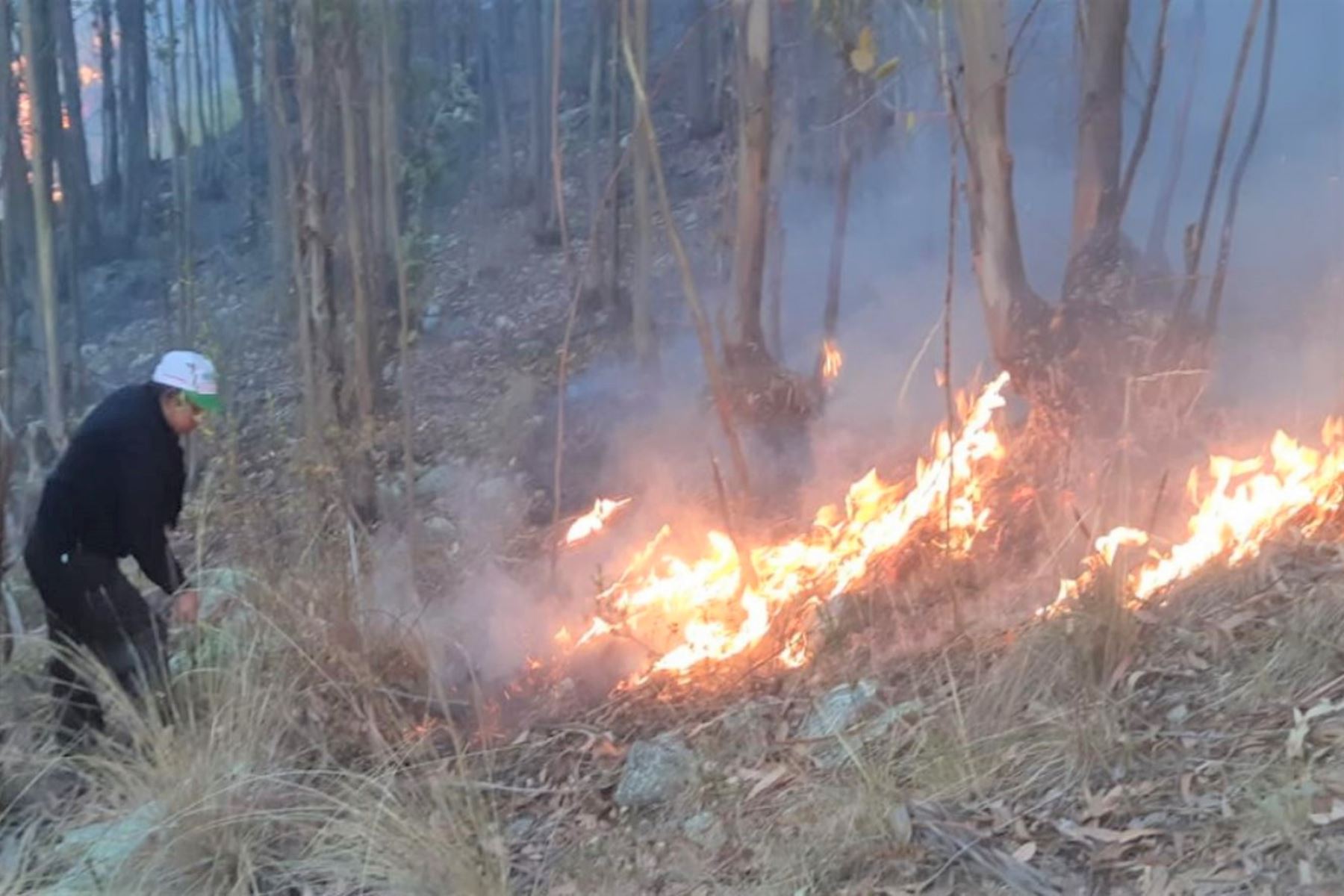 Extinguen incendio forestal que arrasó con cuatro hectáreas de pastos naturales en la sierra de Áncash.Foto:  ANDINA/Difusión
