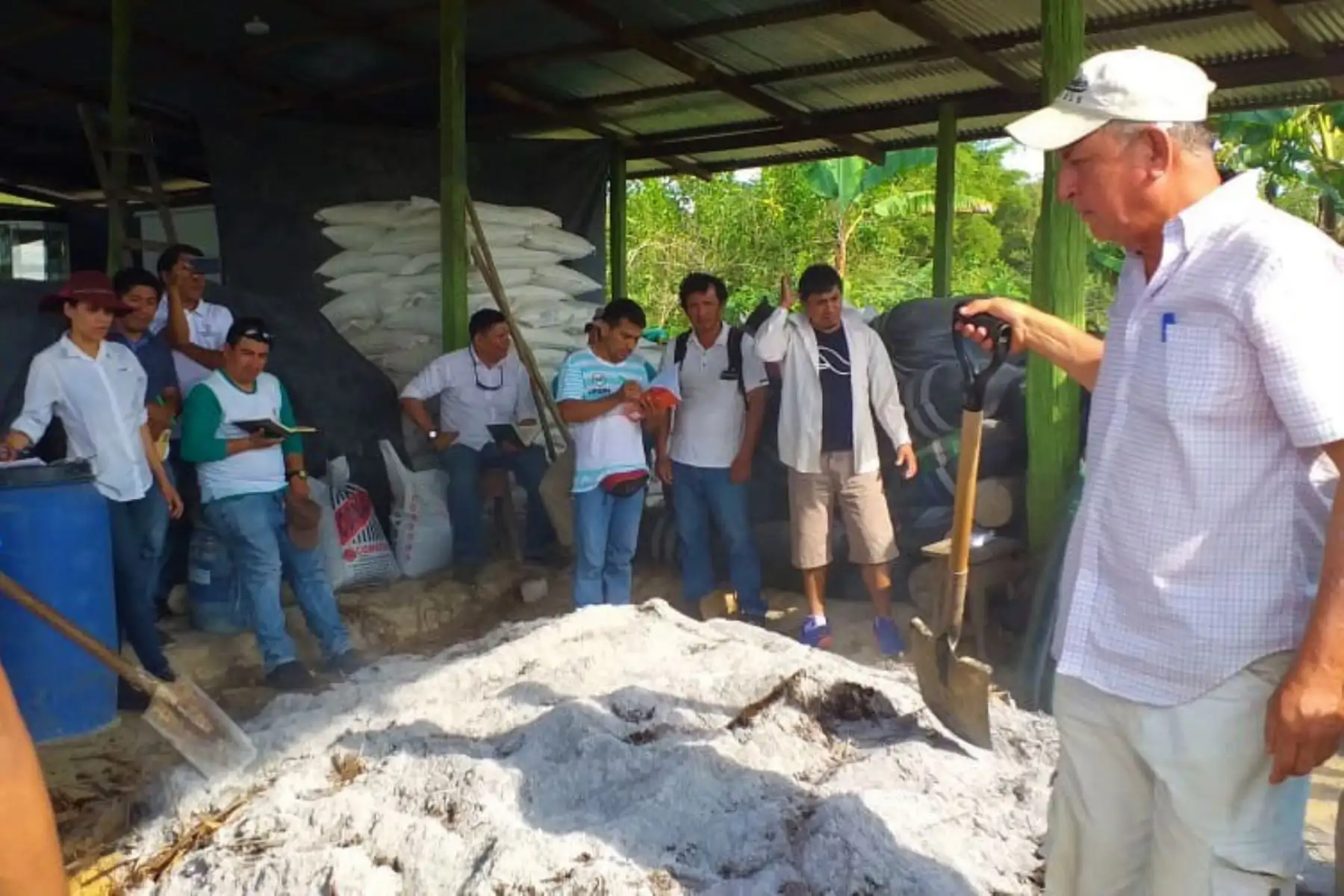 Fomentan la agricultura orgánica en la región San Martín.