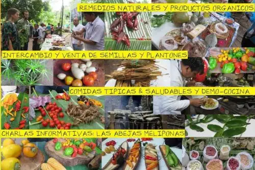 La XV Feria de Intercambio de Semillas y Saberes congregará este sábado a más de 60 agricultores de Madre de Dios en el Ecocentro de Puerto Maldonado.