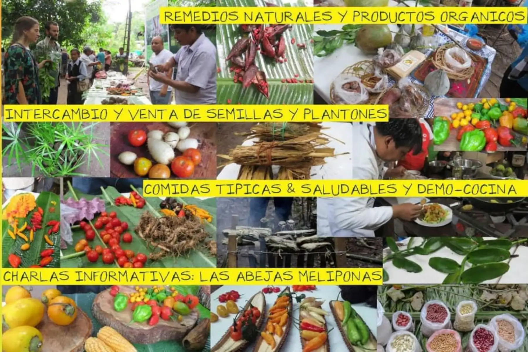 La XV Feria de Intercambio de Semillas y Saberes congregará este sábado a más de 60 agricultores de Madre de Dios en el Ecocentro de Puerto Maldonado.