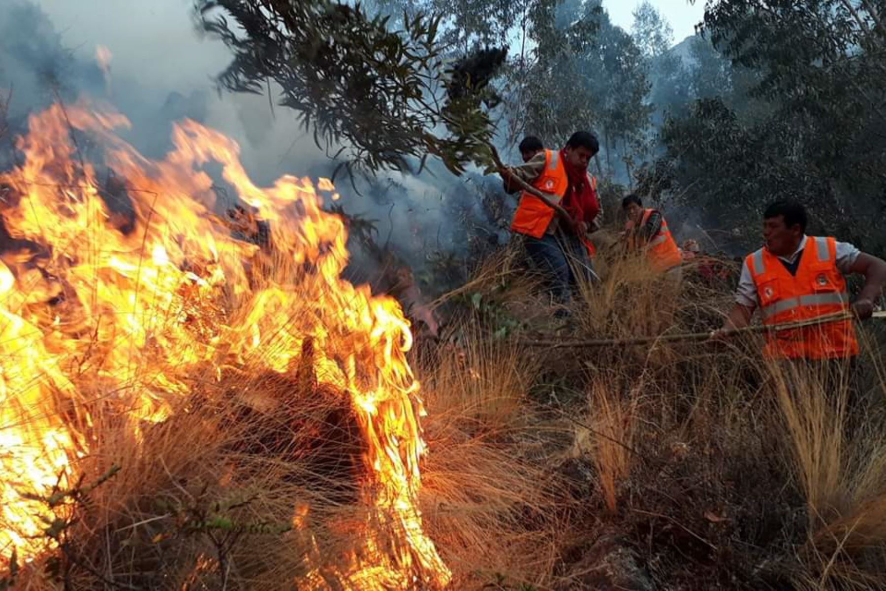 Incendios forestales en provincias de Cusco arrasan con chozas y casi 2,000 hectáreas de pastos. ANDINA/Difusión