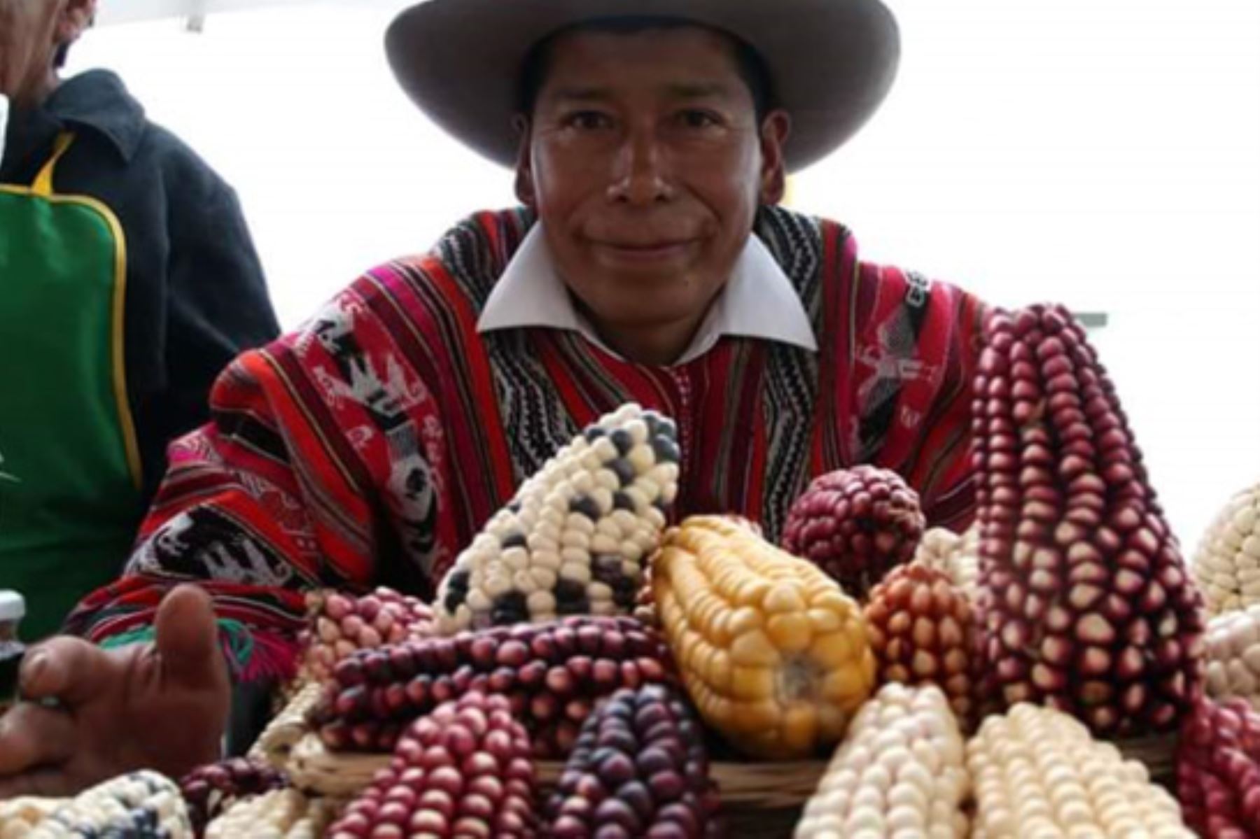 El Ministerio del Ambiente fortalece su compromiso por la gestión sostenible de la agrobiodiversidad y, en esa línea, entregó en Cusco semillas de razas nativas de maíz.