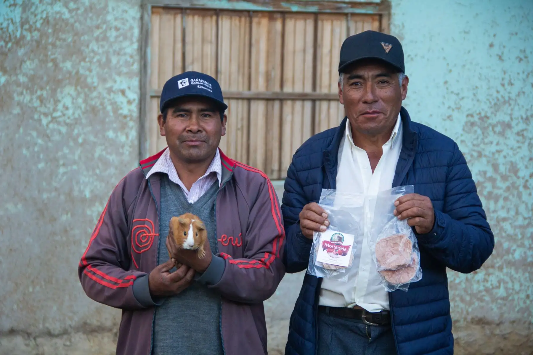 Conoce los innovadores productos derivados del cuy que elaboran agricultores de Cajamarca para combatir la anemia infantil y generar ingresos.