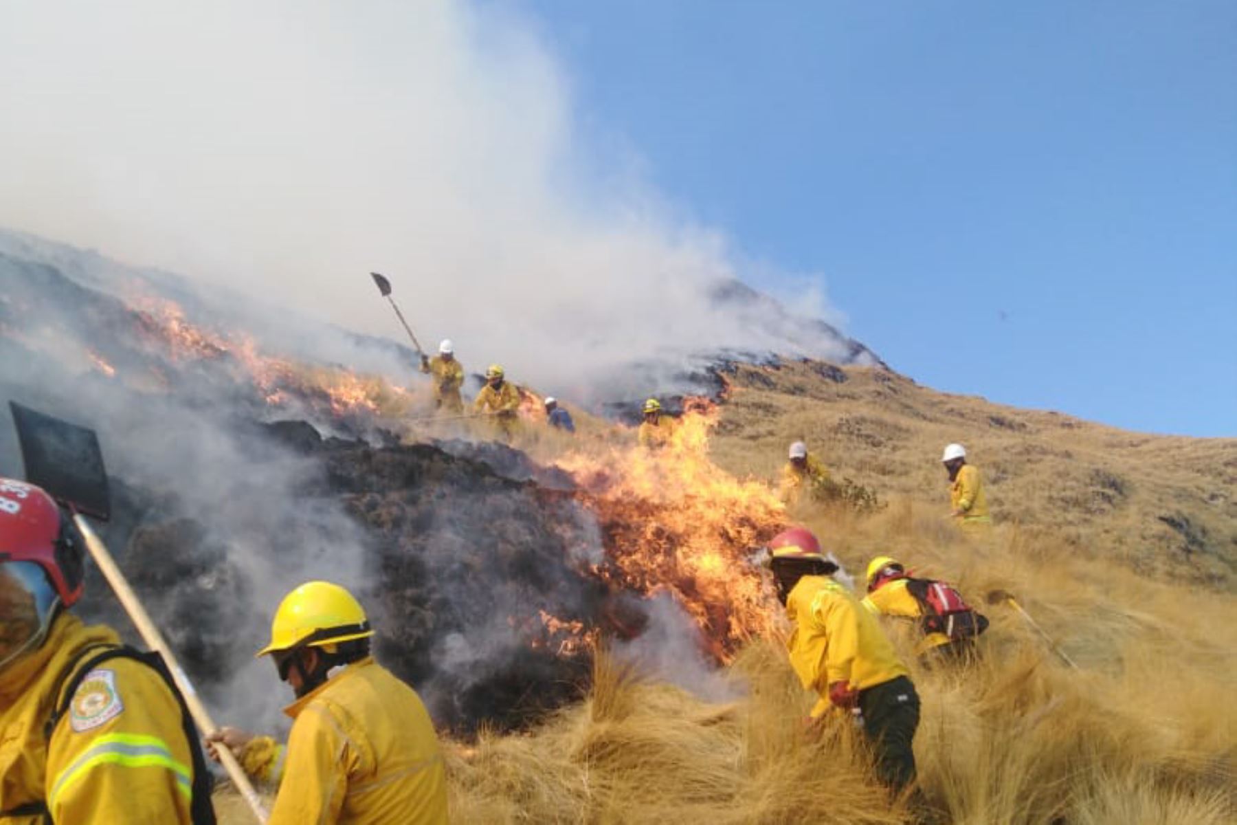 Controlan incendio forestal en Cusco y descartan daños en parque arqueológico Sacsayhuamán. ANDINA/Difusión