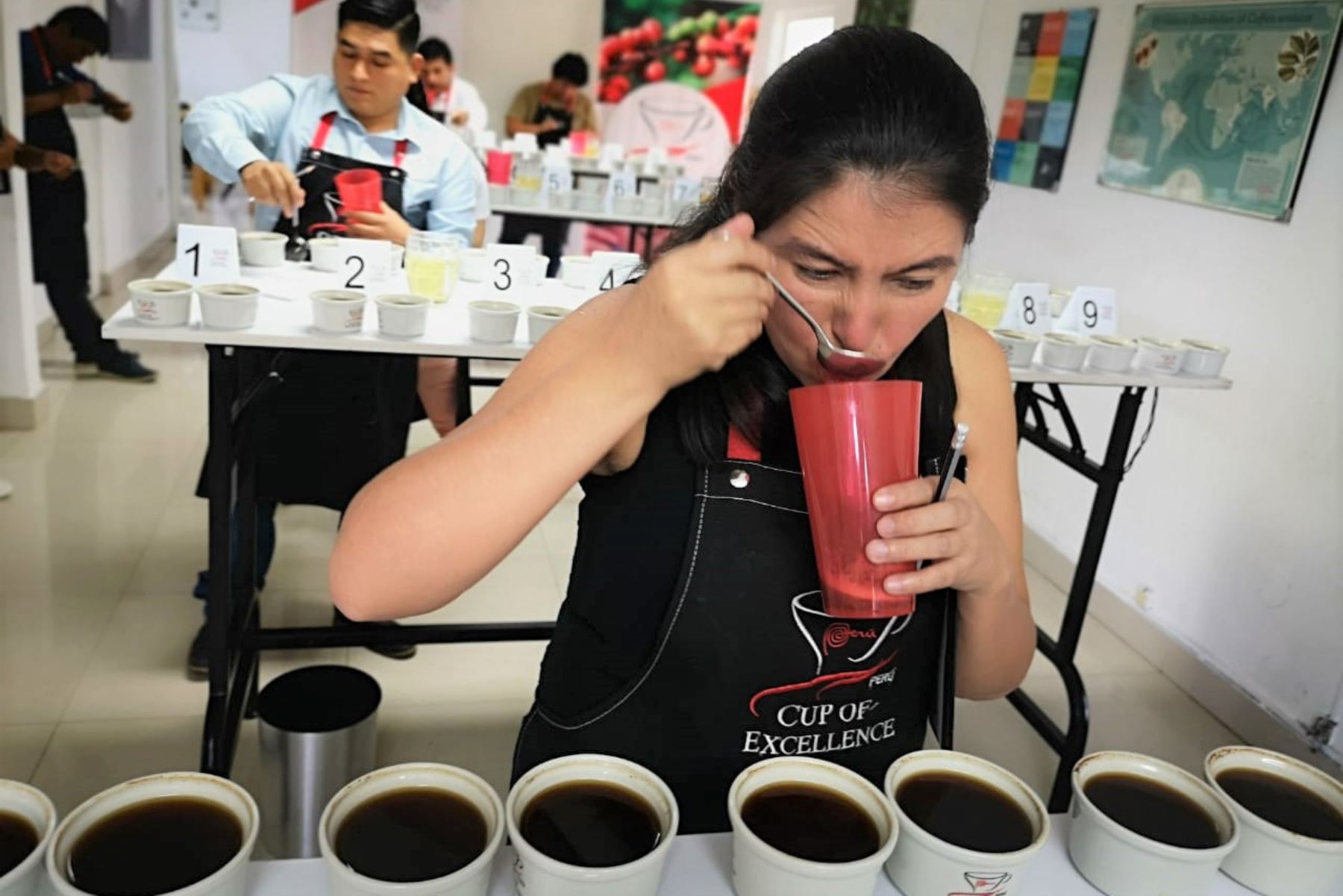 Más de 5,0000 amantes de los cafés especiales asistirán a feria Ficafé 2019 en Jaén, Cajamarca.Foto:  ANDINA/Difusión