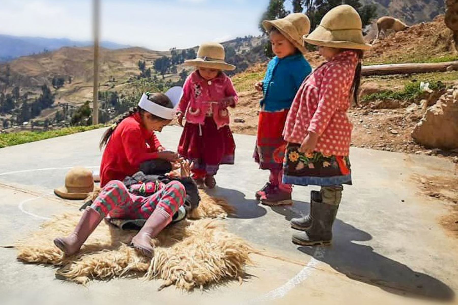 Durante simulacro de sismo y tsunami en la provincia de Pomabamba (Áncash), pequeñas de 3 a 5 años utilizaron camillas confeccionadas con pellejo de oveja.