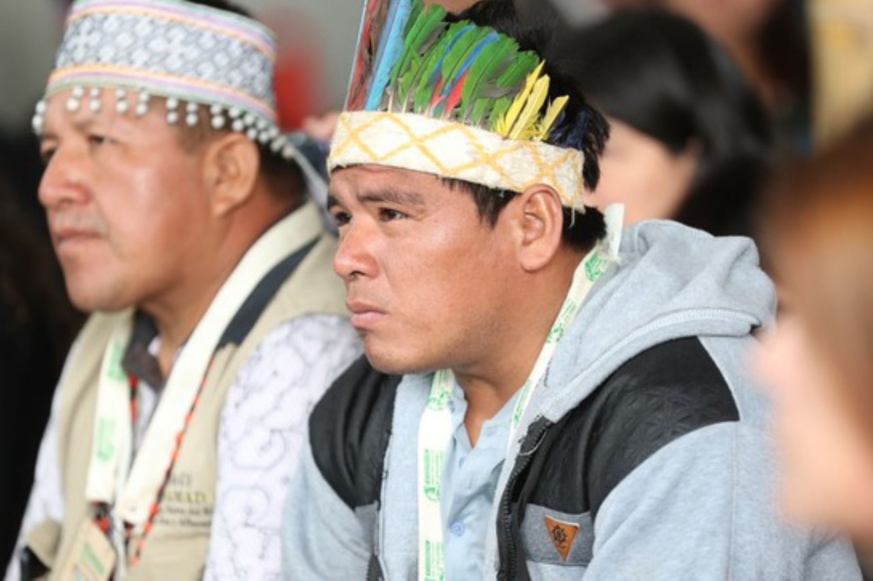 Organizaciones indígenas participan en la construcción de la Política Nacional de Pueblos Indígenas u Originarios. Foto: ANDINA/Difusión