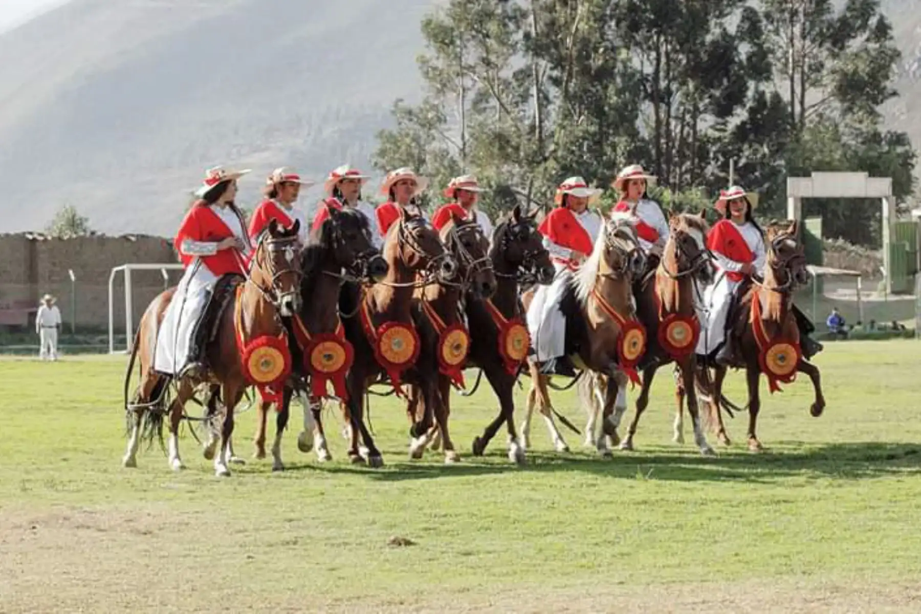 El 16 de noviembre se efectuará el I Concurso de Caballo Peruano de Paso en la plaza mayor del distrito de Yucay, que forma parte del Valle Sagrado de los Incas.