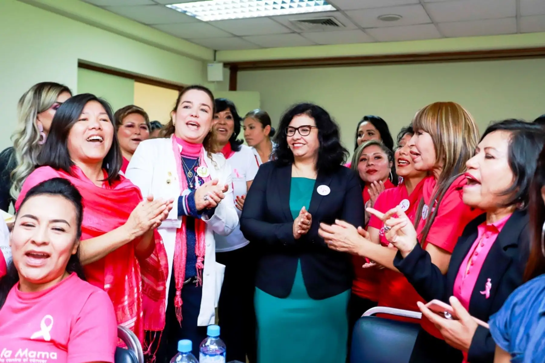 La Primera Dama de la Nación, Maribel Díaz Cabello, durante actividad en favor de la lucha contra el cáncer de mama. Foto: ANDINA/Difusión.