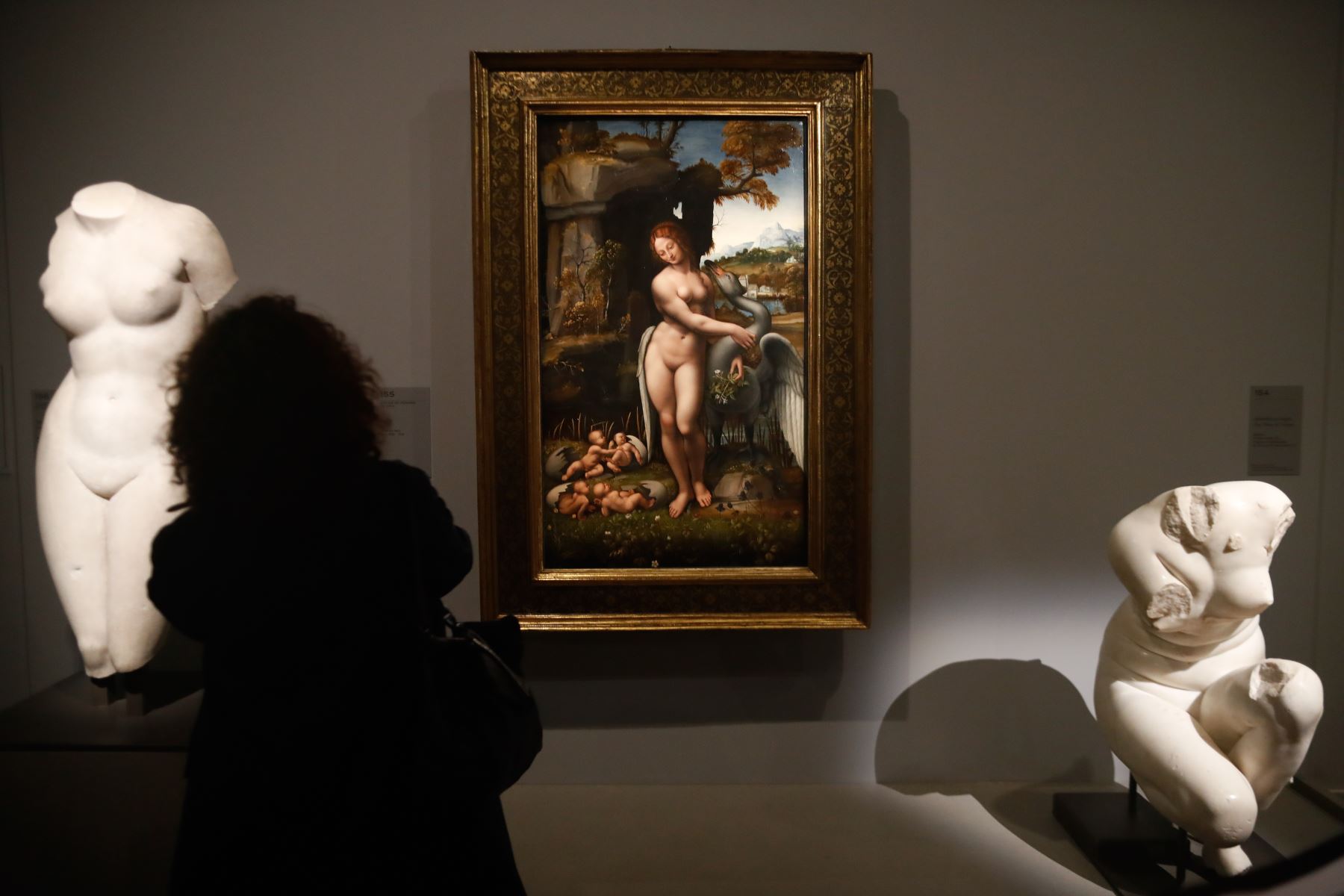 Una persona mira una pintura de "Leda y el cisne" de Leonardo da Vinci durante la inauguración de la exposición en el museo del Louvre en París.  Foto: AFP