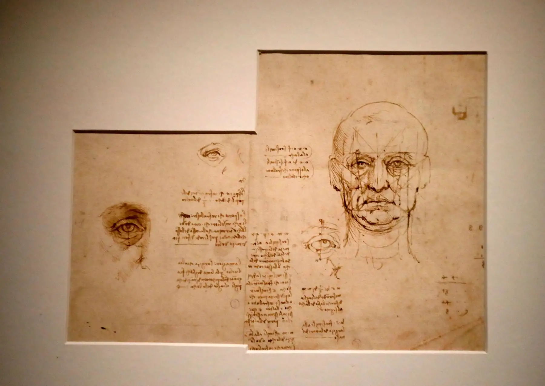 Dibujo de "Proporciones de la cara y los ojos" de Leonardo da Vinci. Foto: AFP