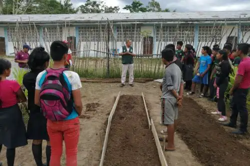 Especialistas del Midis capacitarán a indígenas kichwa, en Loreto, sobre técnicas de cultivo de productos nativos. ANDINA/Difusión