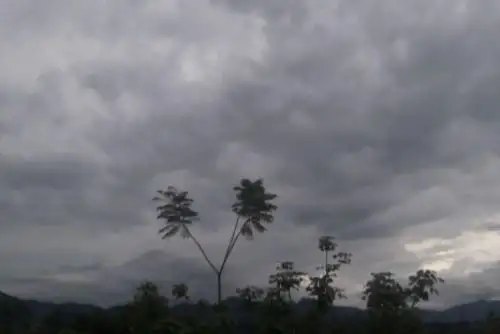 El Senamhi pronosticó lluvias en la selva norte y central hoy y mañana, debido al alto índice de humedad registrado en los últimos días.