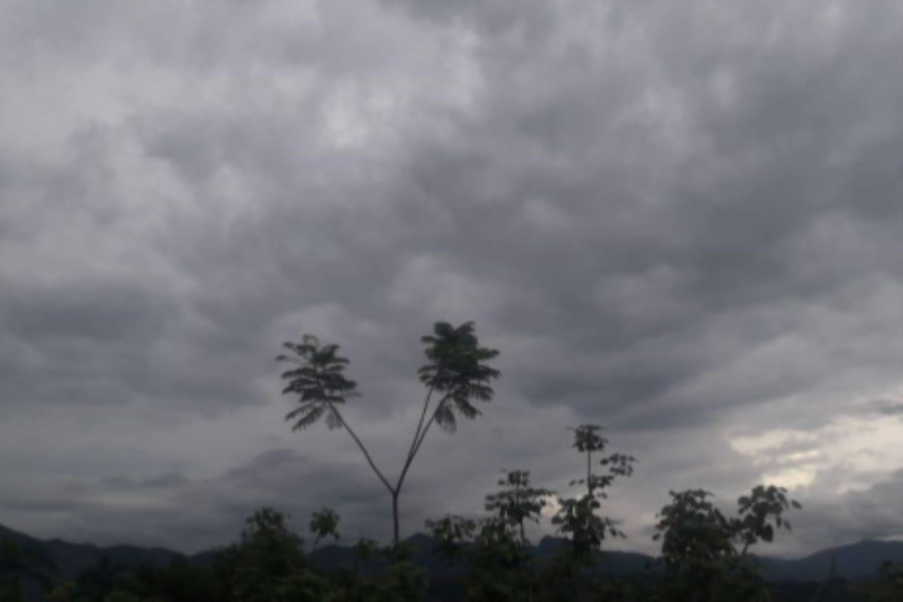 Senamhi pronostica lluvias de intensidad moderada en la Selva desde mañana jueves 22