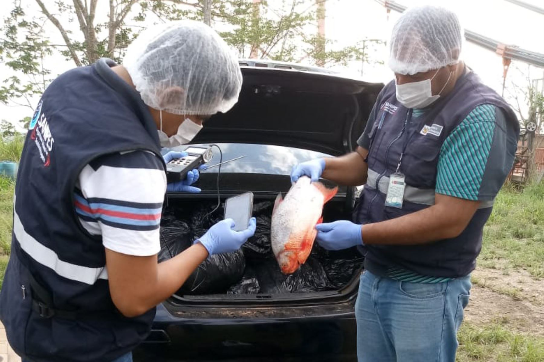 Decomisan más de 1 tonelada de pescado que ingresó de contrabando desde Brasil. ANDINA/Difusión