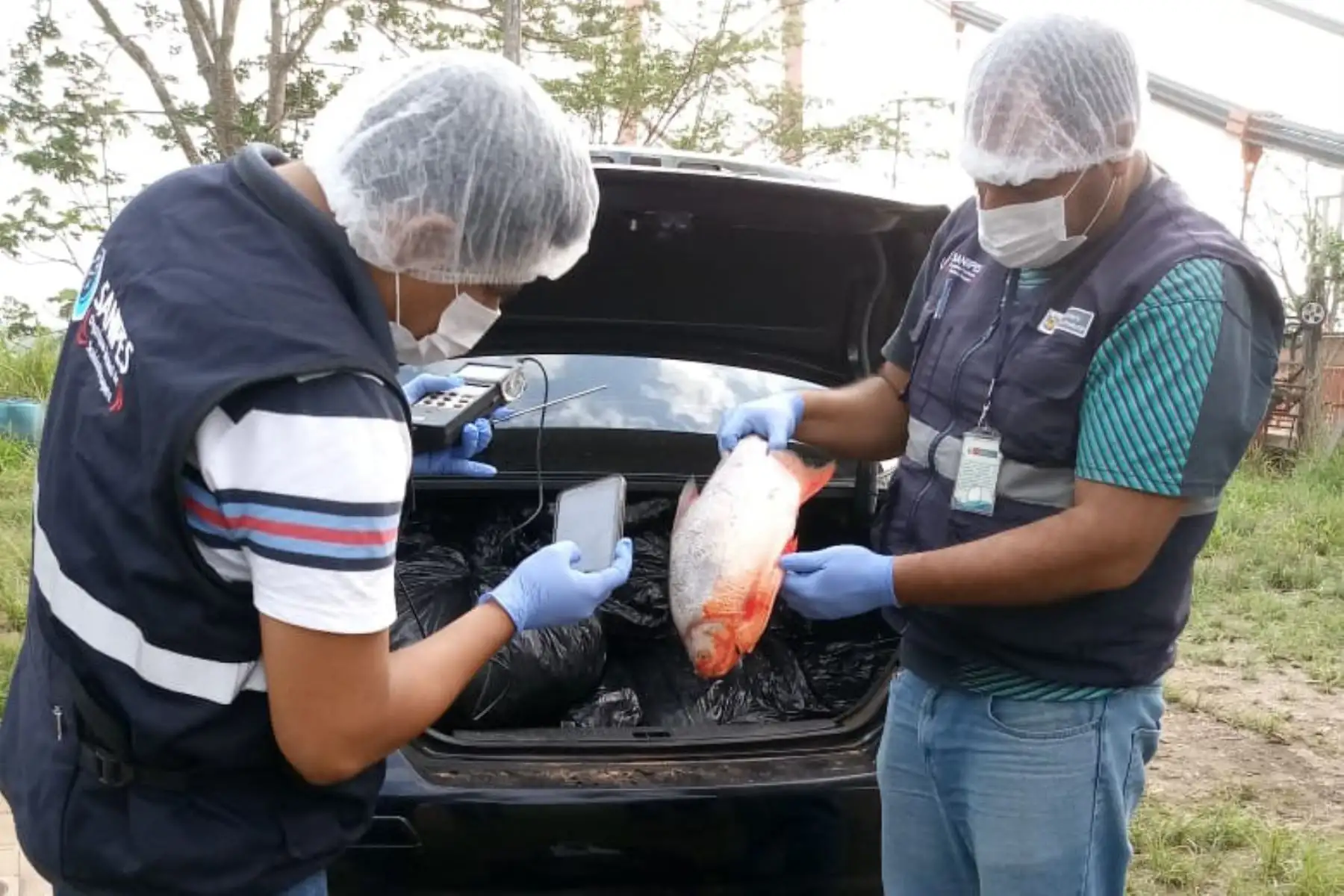 Decomisan más de 1 tonelada de pescado que ingresó de contrabando desde Brasil. ANDINA/Difusión