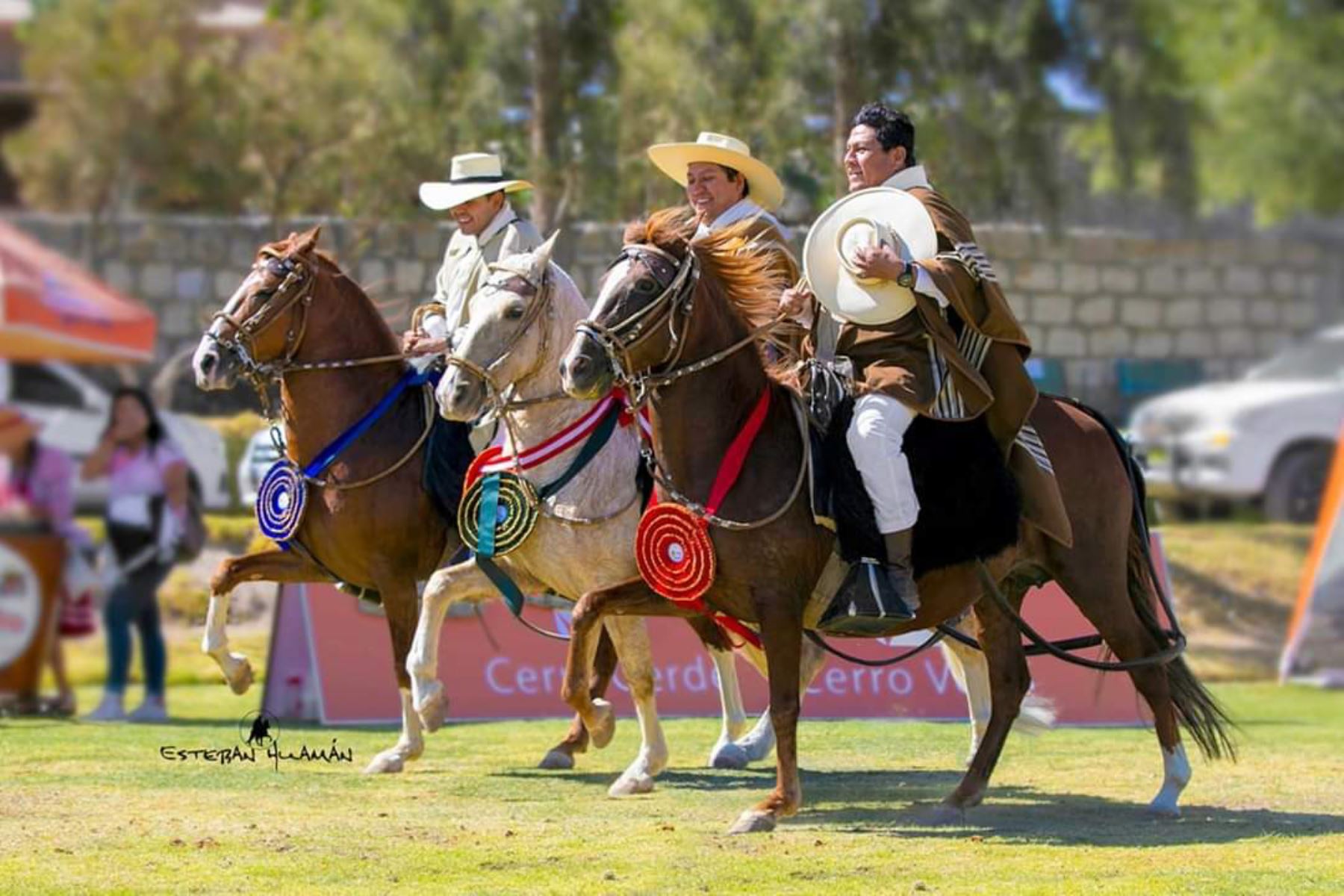 Los días 1 y 2 de noviembre se efectuará el XVIII Concurso Sur Peruano del Caballo Peruano de Paso en el campo ferial de Cerro Juli, en la región Arequipa.