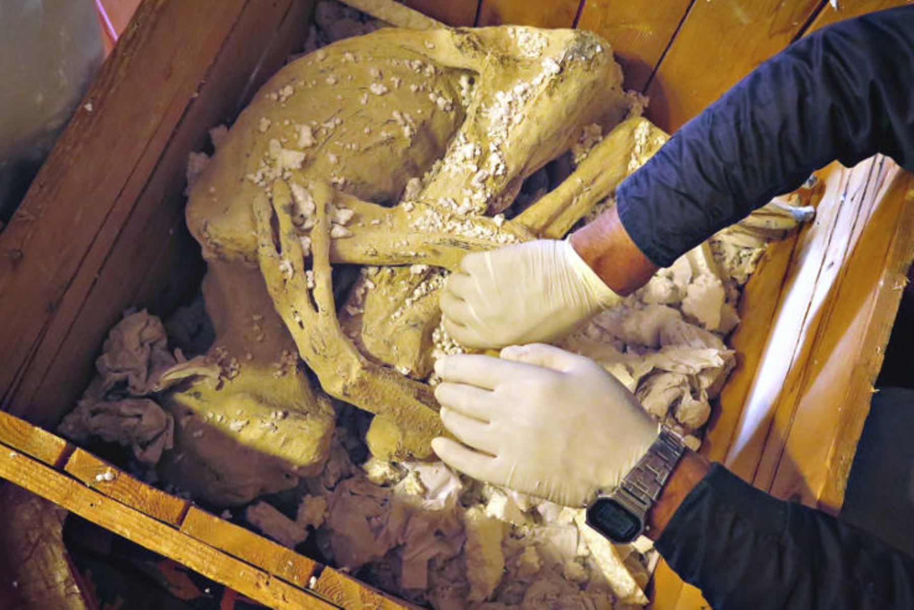 Controversia por la presencia de restos arqueológicos en una de las sedes de la universidad San Luis Gonzaga de Ica. ANDINA/Difusión
