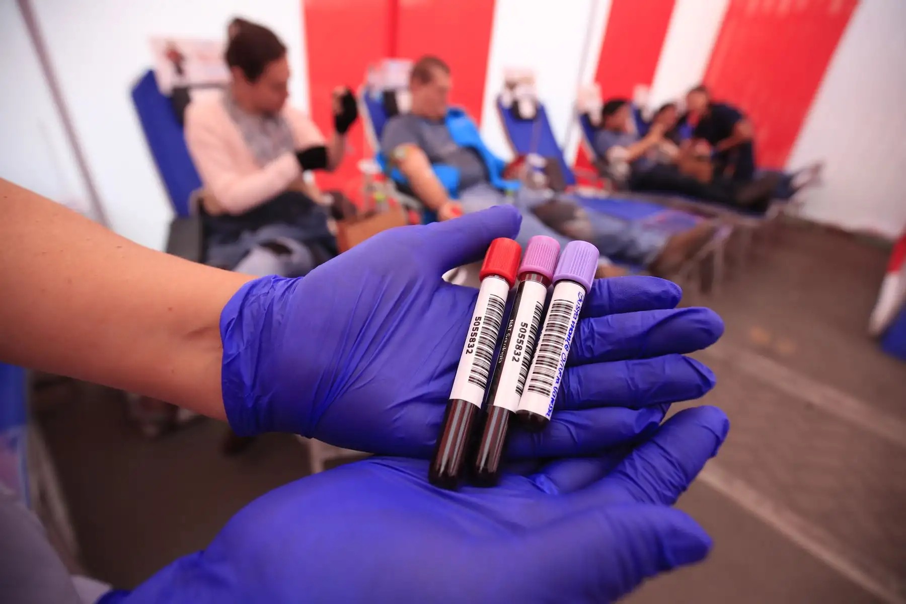 El Instituto Nacional del Niño - San Borja realizó una campaña de donación voluntaria de sangre y plaquetas para recolectar dichos componentes para los pequeños pacientes que lo requieren.

Foto: Andina/Juan Carlos Guzmán Negrini