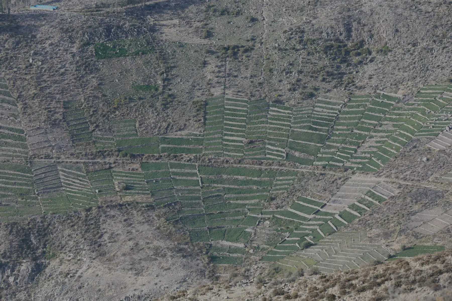 Proyecto Quellaveco tiene 30 % de avance de su construccion ejecutandose mas de 1,300 millones 
de dólares . Así lo dijo hoy la empresa Anglo American. Foto: ANDINA/Jhony Laurente Proyecto Quellaveco tiene 30 % de avance de su construccion ejecutandose mas de 1,300 millones 
de dólares . Así lo dijo hoy la empresa Anglo American. Foto: ANDINA/Jhony Laurente