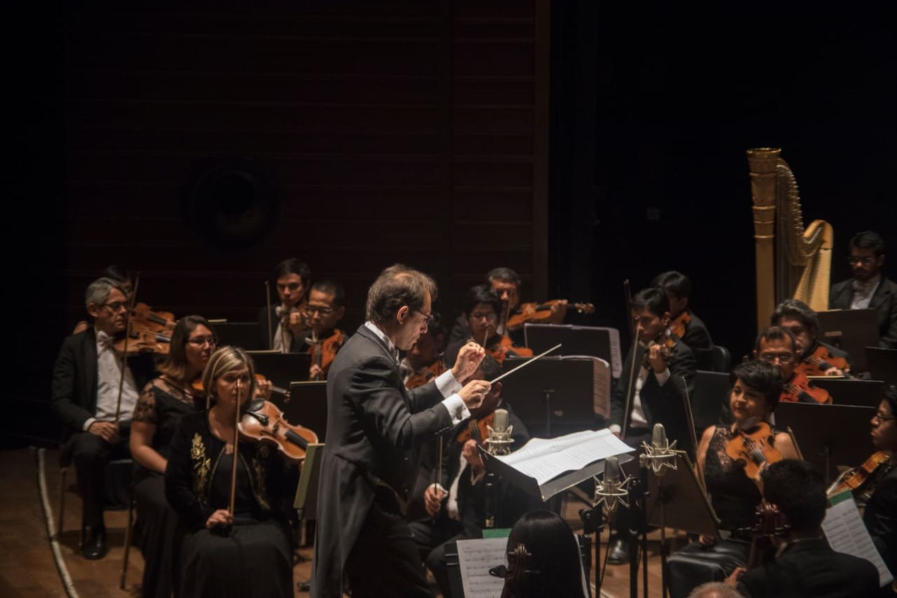 Orquesta Sinfónica Nacional Presenta La Gala Strauss And Brahms Noticias Agencia Peruana De 6987