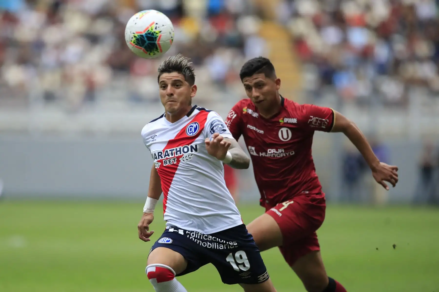 Deportivo Municipal goleó tres a cero a Universitario de Deportes en el Estadio Nacional. Juan Bogado en disputa del balón

Foto: ANDINA/Juan Carlos Guzmán Negrini.