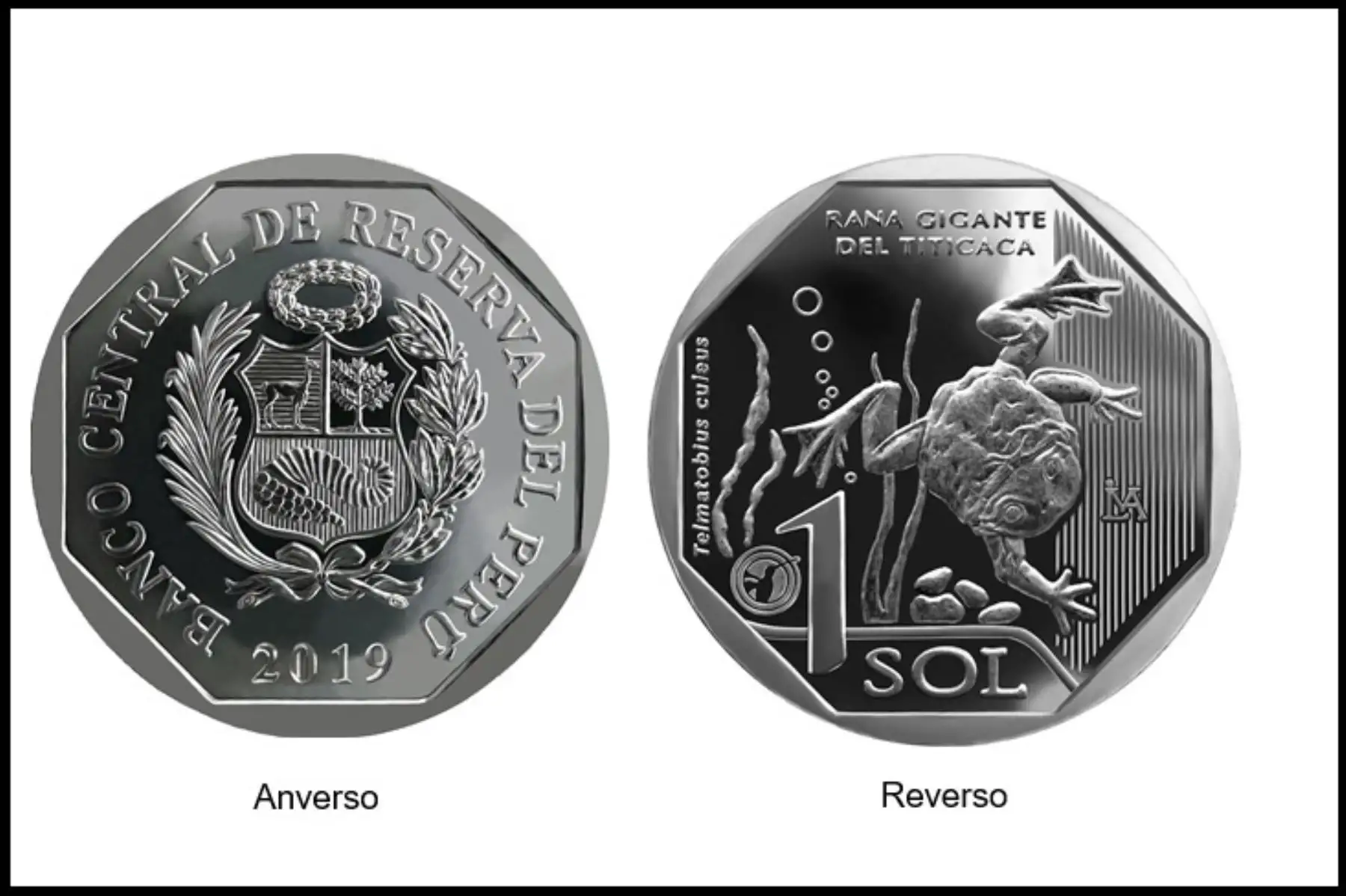 Foto: Cortesía.