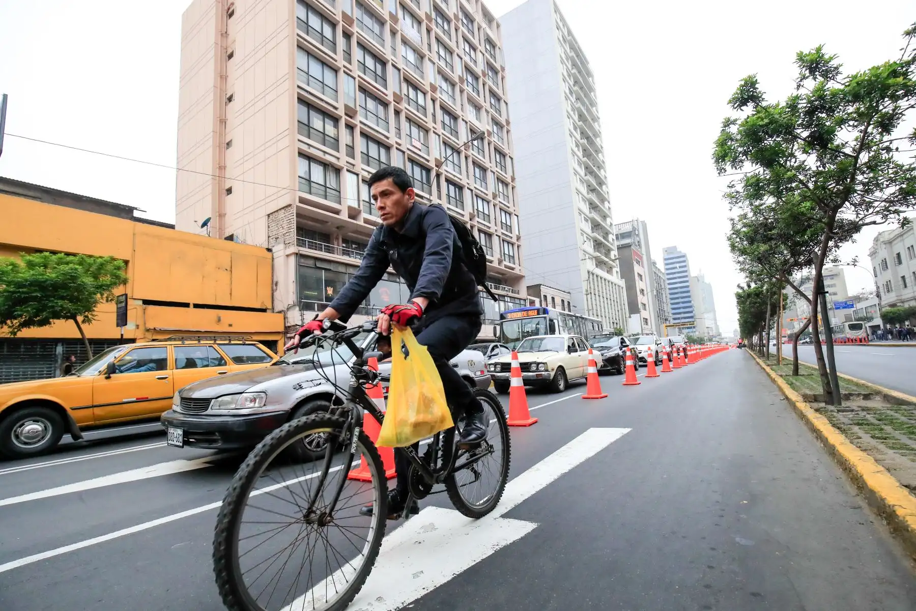 La Municipalidad de Lima activó un carril segregado para ciclistas en el corredor vial Tacna - Garcilaso de la Vega.

Foto: Andina/Juan Carlos Guzmán Negrini