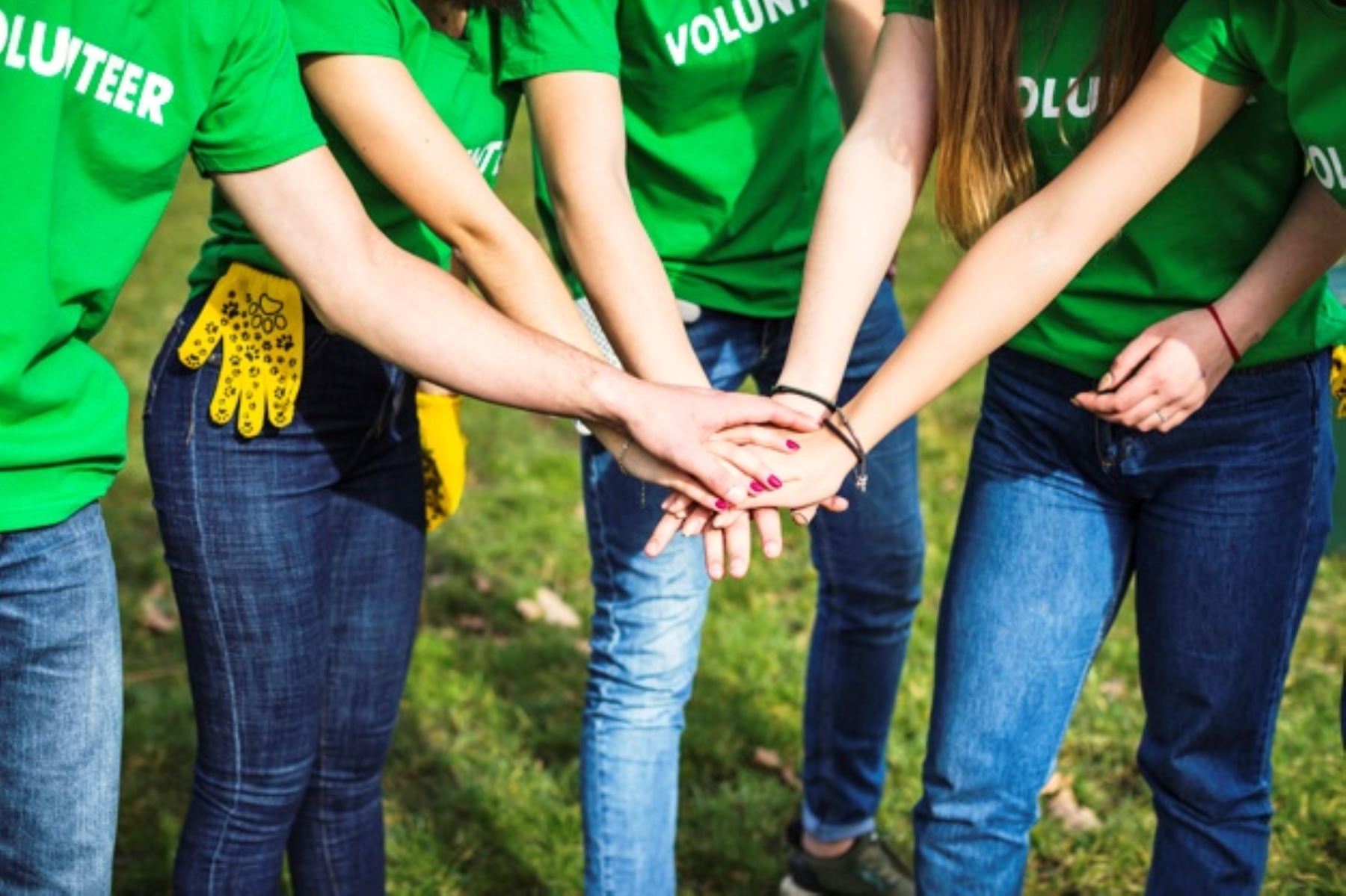 Jóvenes realizan voluntariado internacional como agentes de cambio. Foto: ANDINA/Difusión.