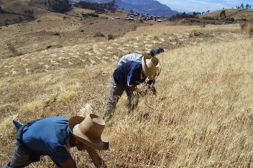 agricultura