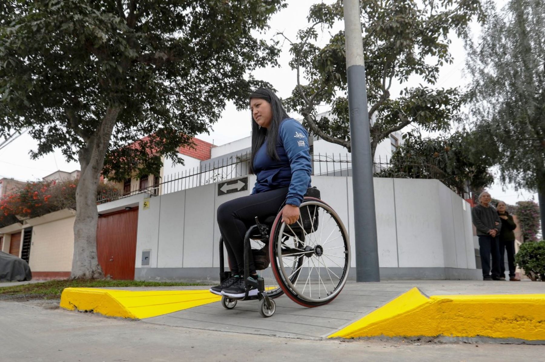 Día Internacional de las Personas con Discapacidad. Foto: ANDINA/Difusión.