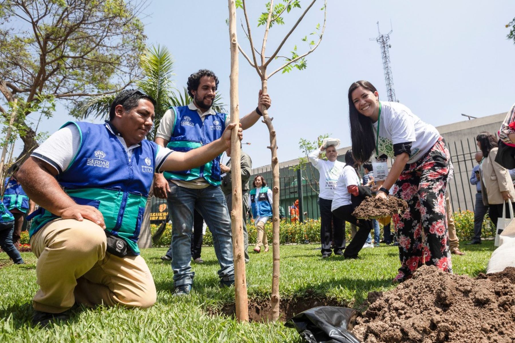 Municipio de Lima apoya iniciativa para ampliar áreas verdes en el Perú |  Noticias | Agencia Peruana de Noticias Andina
