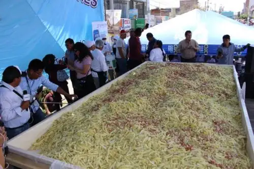 La plaza Mayta Cápac fue el escenario de la actividad, donde se batió el récord mundial que hasta hace poco lo tenía la ciudad de Quito (Ecuador), con 1,500 kilos de esta comida rápida.