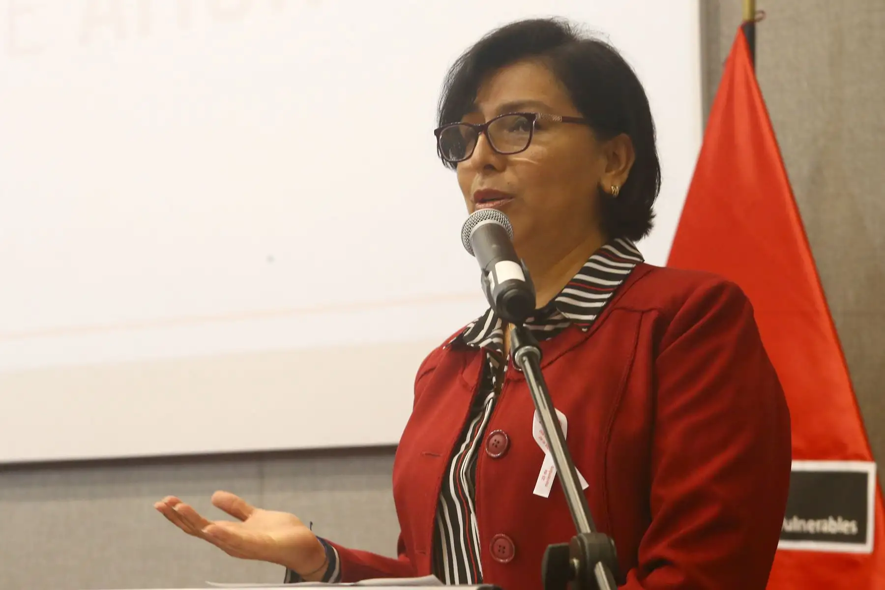 La ministra de la mujer Gloria Montenegro, acompañada de las ministras de trabajo Silvia Caceres y salud Zulema Tomás, inician la campaña "Violencia disfrazada de amor" en el día mundial de la lucha contra la violencia de la  mujer. Foto:ANDINA/Héctor Vinces