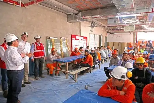 Los sectores económicos con mayor número de incorporados son: agricultura y ganadería, enseñanza, actividades inmobiliarias, construcción y comercio al por mayor y al por menor.